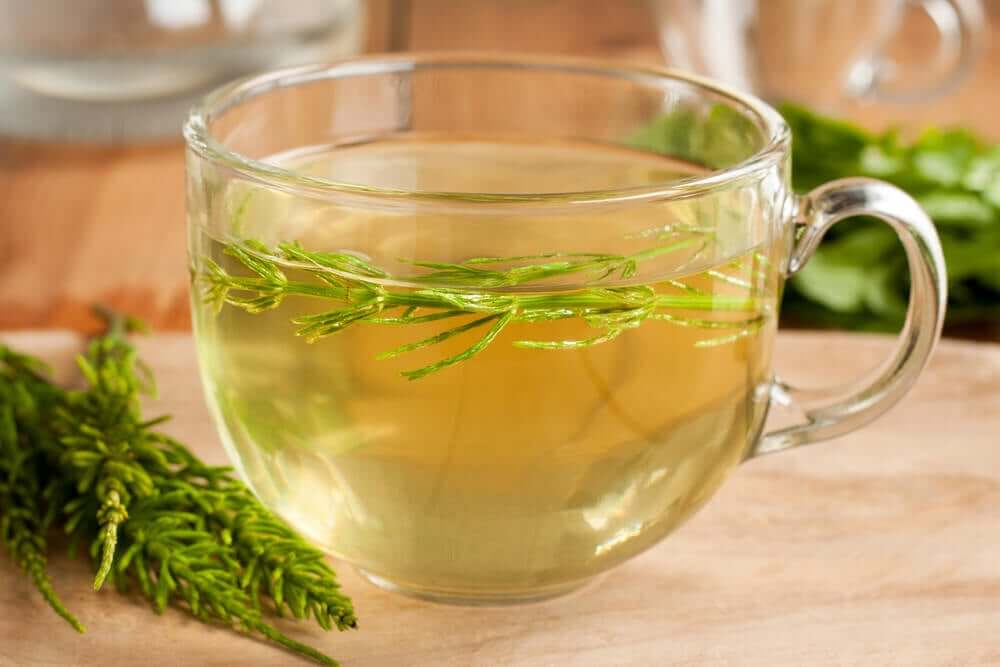 Horsetail grass tea.