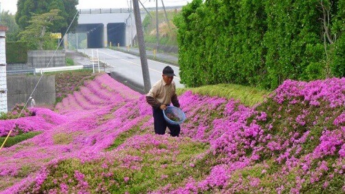 Man brings flowers for blind wife