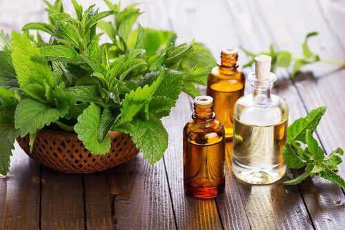mint essential oil for hair growth