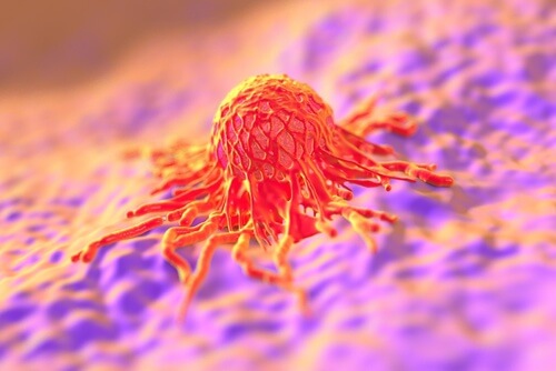 papiloma virus