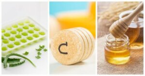The Best Ways to Store Aloe Vera Gel