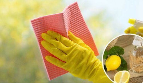 Homemade Tricks to Clean Glass Surfaces and Windows