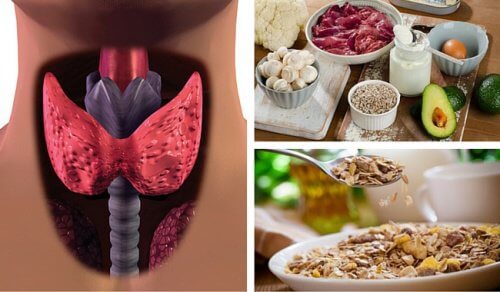 Foods For a Fast Metabolism: Dealing With Hypothyroidism