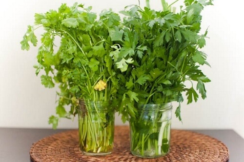 2 fresh herbs