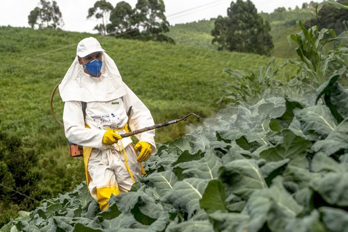 pesticides