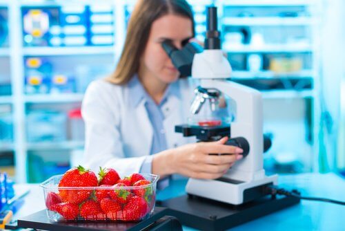strawberries-microscope