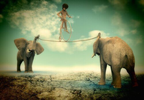 A boy walking a tightrope between two elephants.