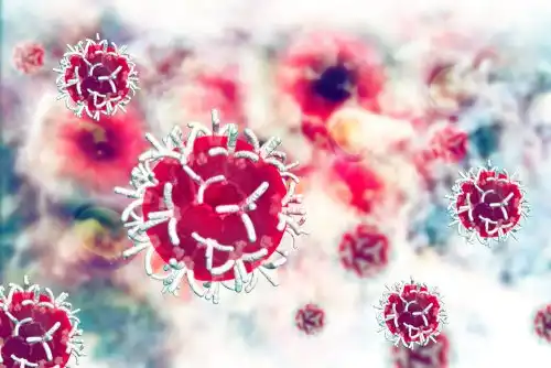 Cells from one of the rare cancers.