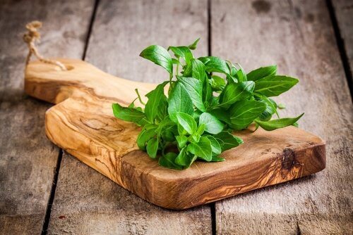 basil