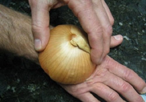 Applying an onion to a bug bite
