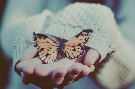 butterfly-in-hand