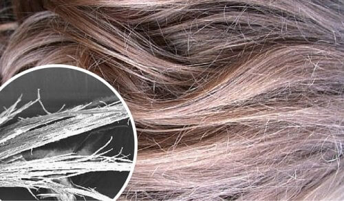Discover How to Repair Damaged Hair