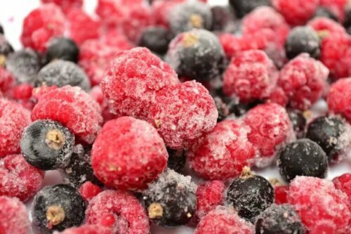 Avoid Wasting Food with These 14 Excellent Tips