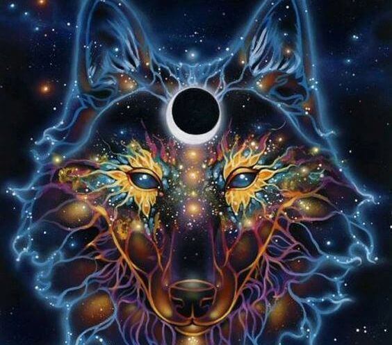 image of wolf constellation