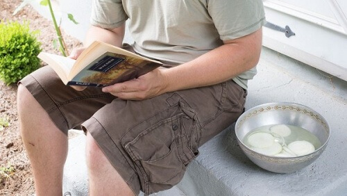 Onions in a bowl as a repellent