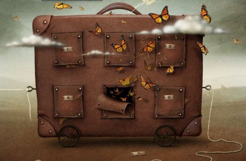 suitcase-butterflies