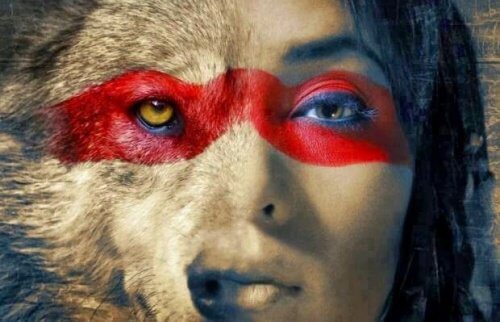 Wolves Don't Lose Sleep Over The Opinion of Sheep