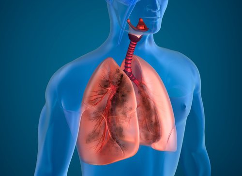 10 Natural Ingredients to Reduce the Effects of Smoking