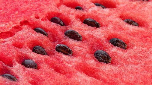Benefits of Adding Watermelon Seeds to Your Diet