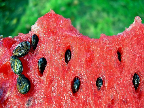 Adding watermelon seeds from watermelon to your diet is a good idea.