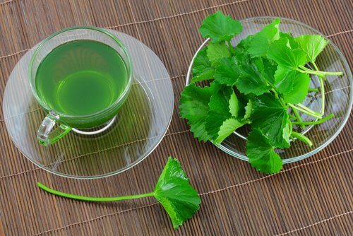 4 parsley tea relieve swollen feet