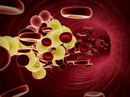 Adding watermelon seeds to your diet can help you with blood health.