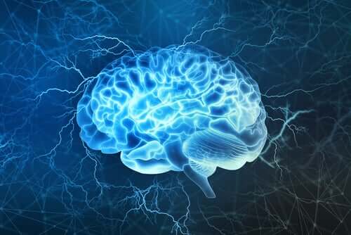 A lit brain during physical activity.