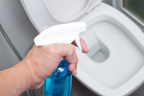 Natural Ways to Deodorize Your Bathroom