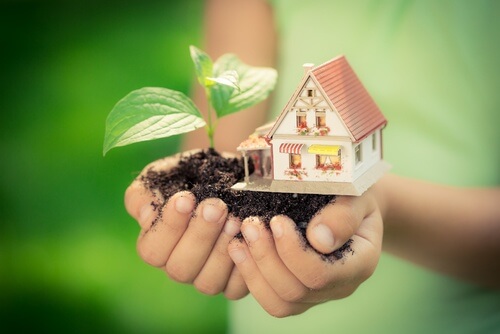 organic home management