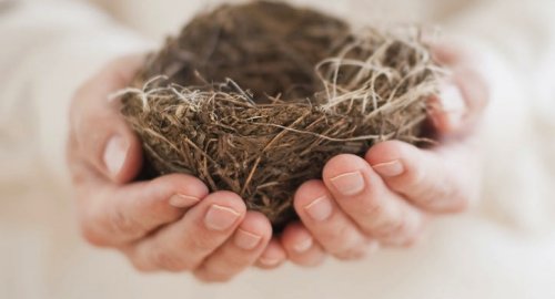 Empty Nest Syndrome: When Loneliness Invades the Home