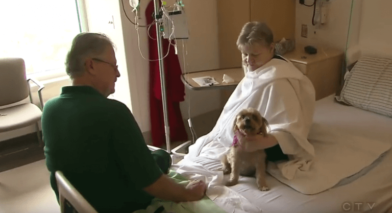 Patient på sygehus får besøg af sin hund