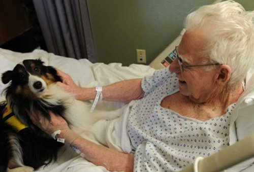 Pets Visit Patients in This Hospital