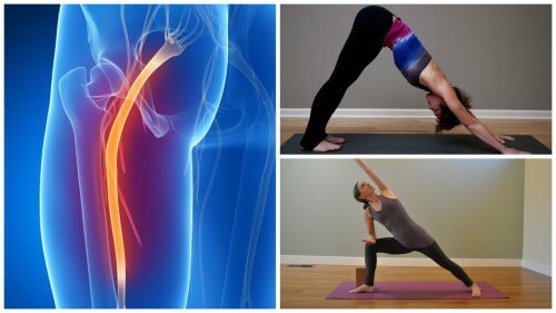 1-sciatic-stretches Sciatic Nerve