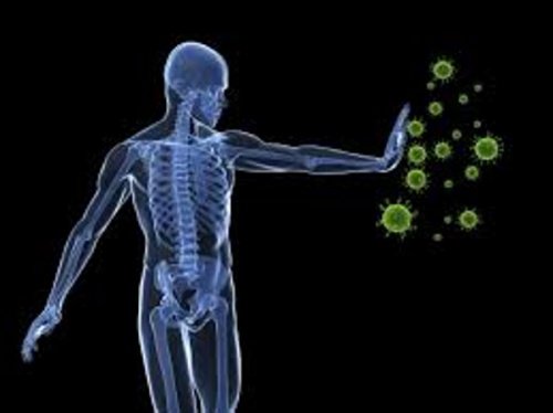 Boost the immune system with this treatment