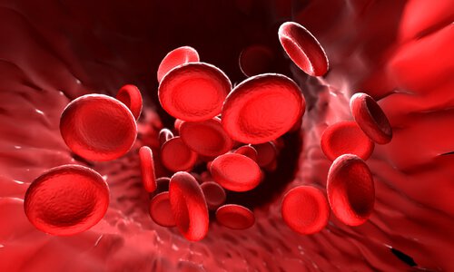 blood donation
