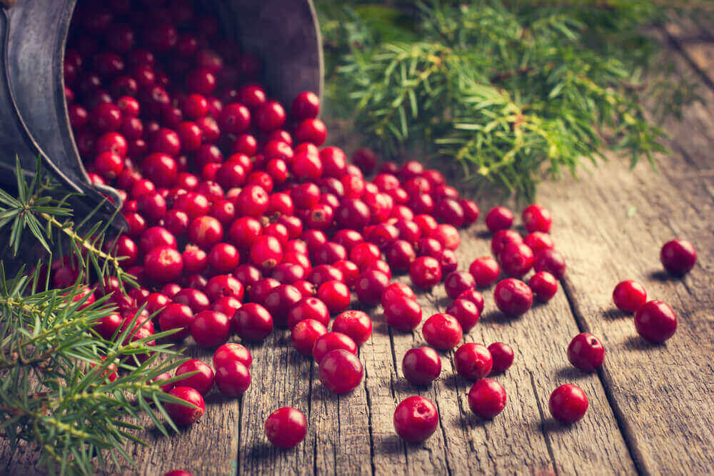 A bucket of cranberries.