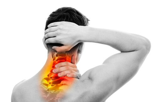 The spine and organs are interconnected through the nervous system