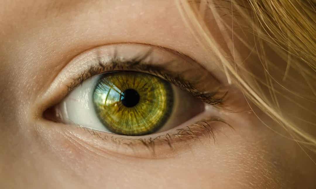 A closeup of a person's eye.