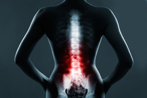 The dorsal spine is related to many organs in the body