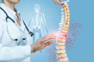 The Importance of Your Spinal Column and Its Connection to Other Organs