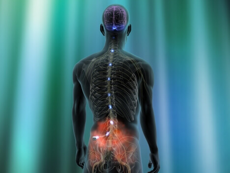 Spinal pain.