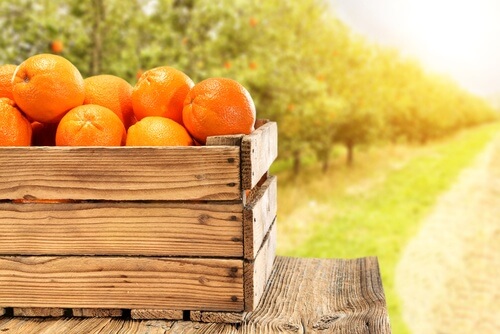 orange-juice