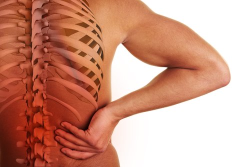 The Relationship Between Your Spine and Organs