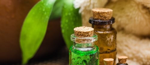 Tea Tree Oil: The Oil of a Thousand Remedies