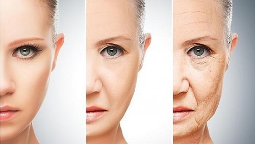 Changes in Your Eating Habits at 30, 40, 50, and 60