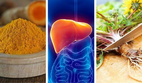 6 Best Herbs to Protect Your Liver