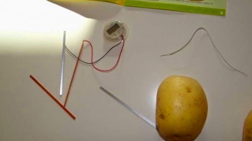 How to make a potato light