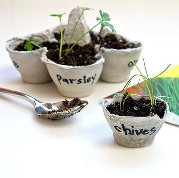 recycling egg cartons