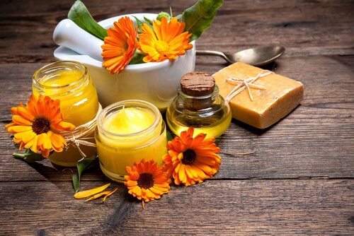 3-homemade-creams to heal cuts and scars