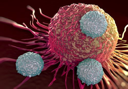 3-tumor